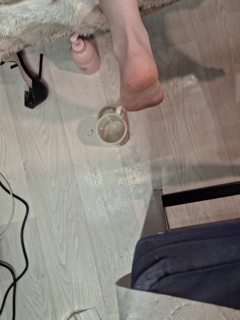 -scyrim- Приват Записи 2026-01-31