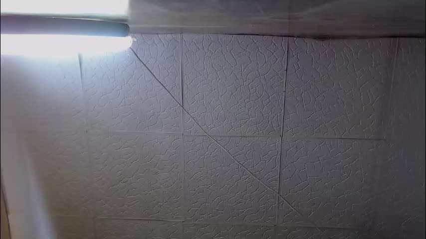 shyredstar Приват Записи 2026-01-31