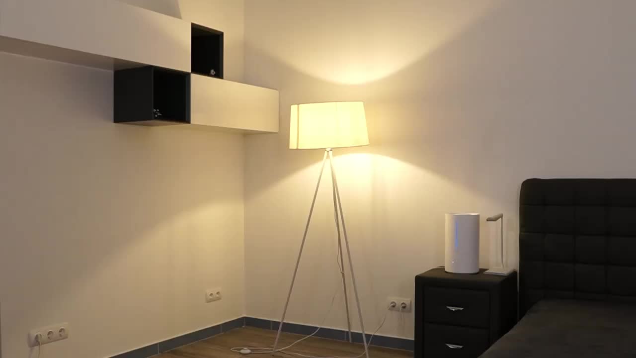 DiamondLily Приват Записи 2026-01-31