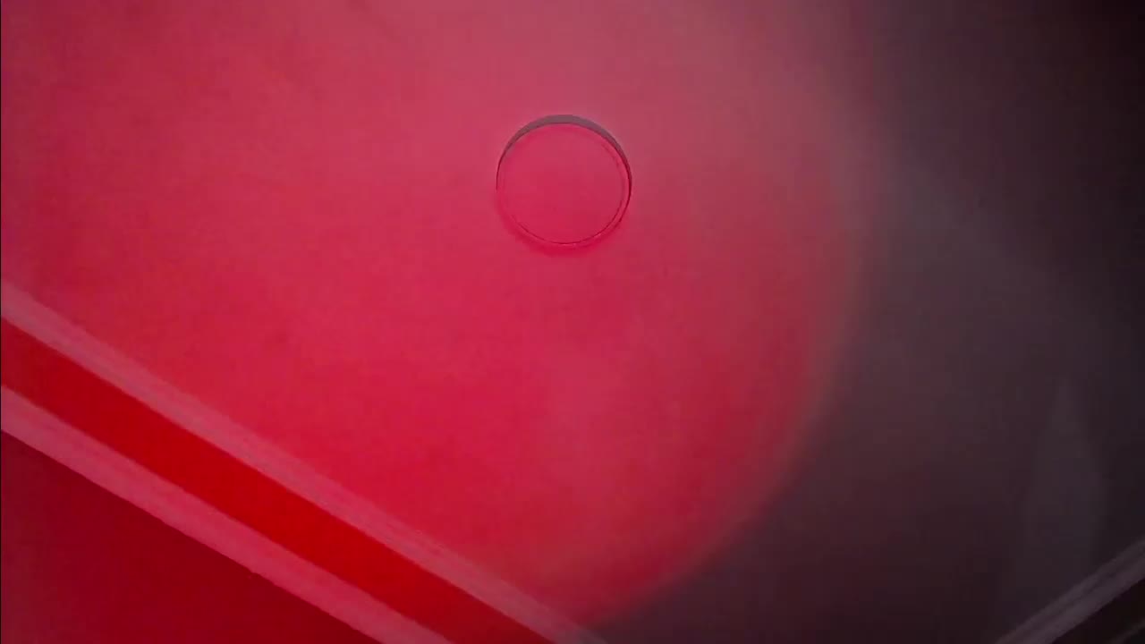 SarinnnaLuv Приват Записи 2026-02-01