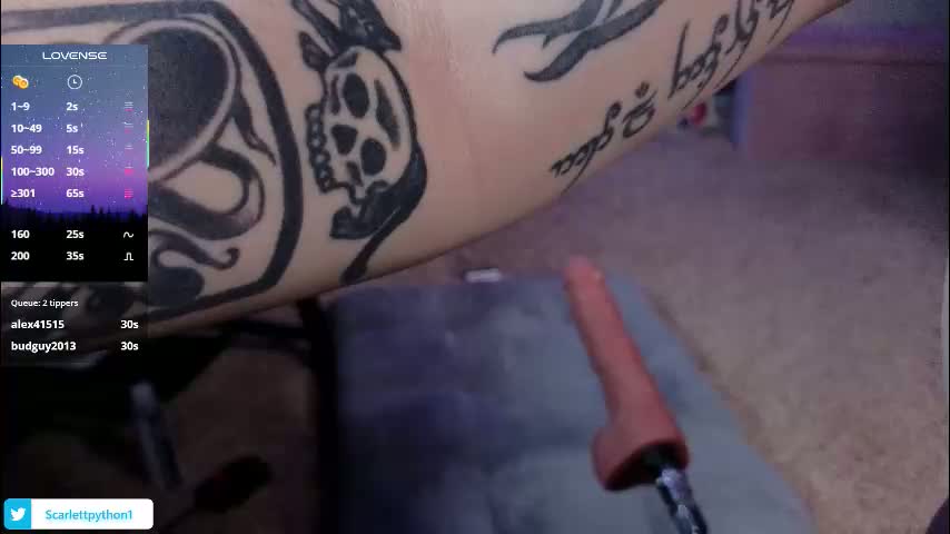 scarlettpython1 Приват Записи 2026-02-01