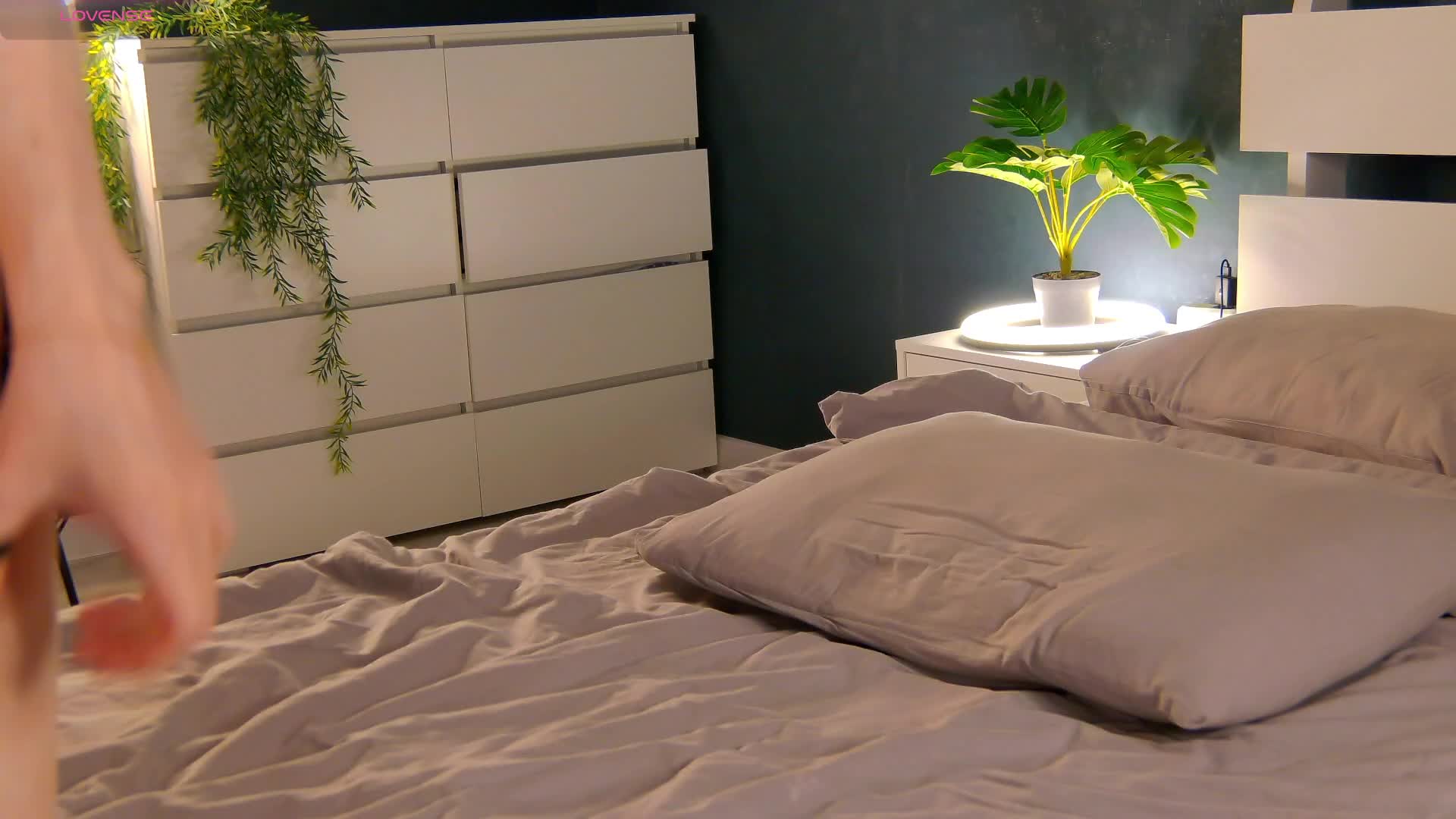 -mozaly- Приват Записи 2026-02-01