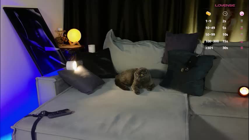 your_eclipse Приват Записи 2026-02-02