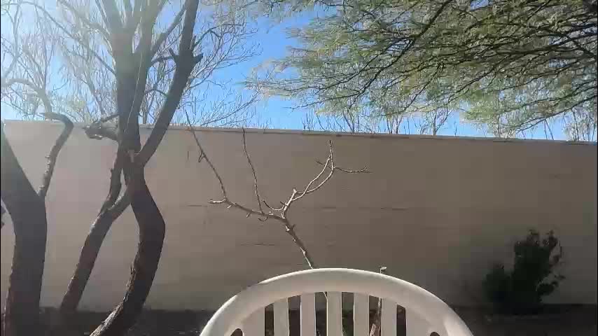 channel022 Приват Записи 2026-02-02