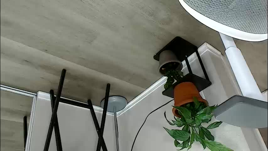 sheilyn_smith Приват Записи 2026-02-02