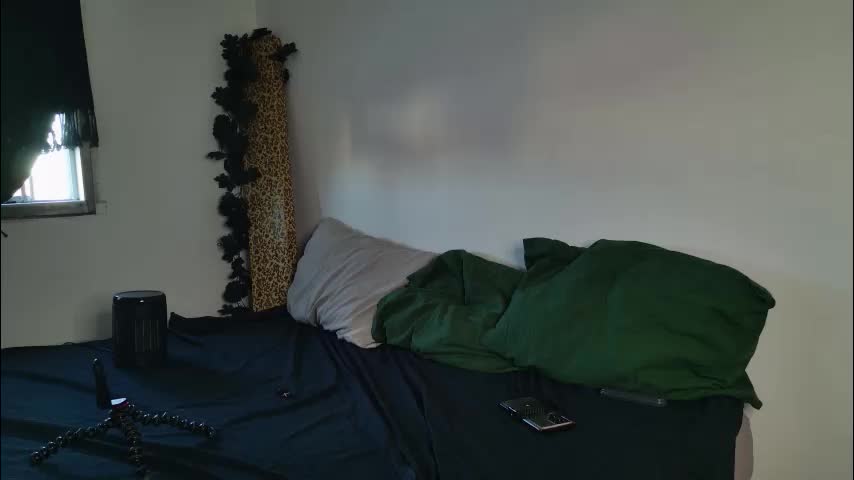 jackdesfeux Приват Записи 2026-02-02