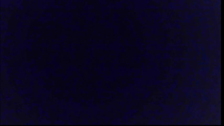 francekitty Приват Записи 2026-02-03