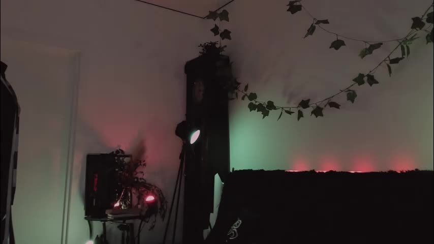 erohaze Приват Записи 2026-02-03