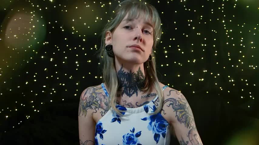 Littlespacemouse Приват Записи 2026-02-03