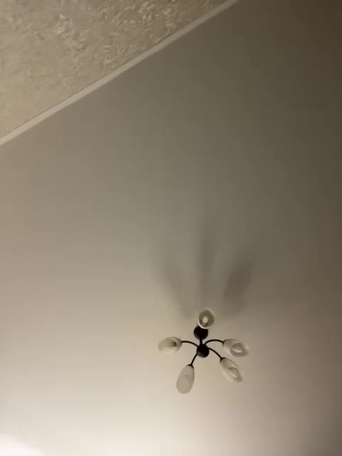 HellMor Приват Записи 2026-02-03