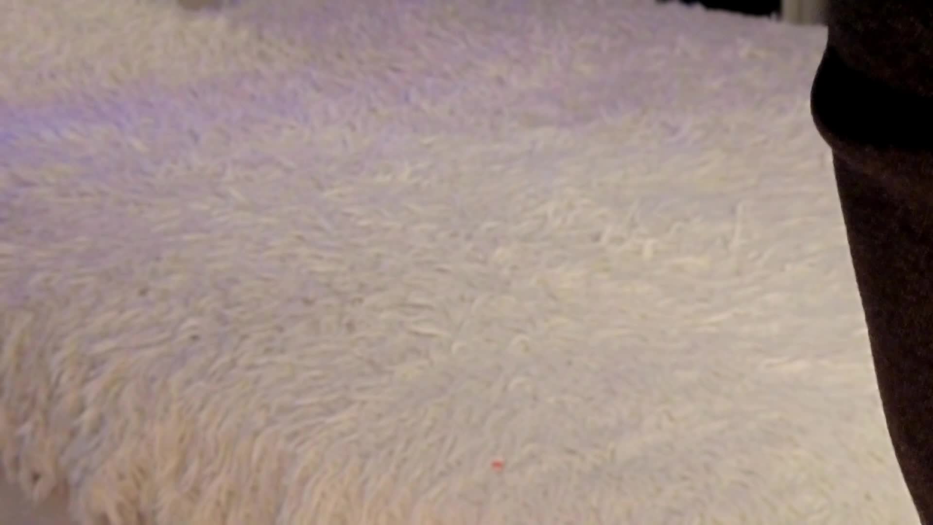 Strawberries_ Приват Записи 2026-02-03