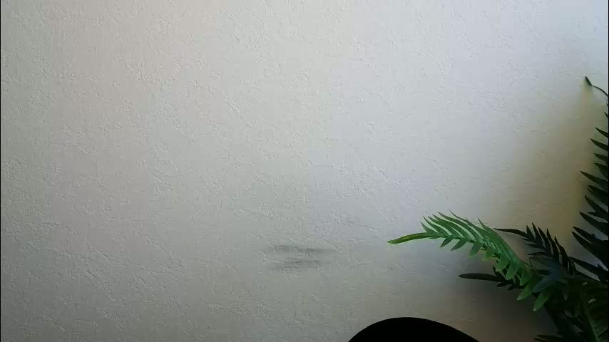 veryveryshygirl Приват Записи 2026-02-03