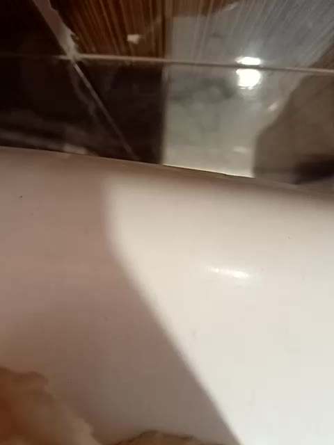 sociopatia Приват Записи 2026-02-03