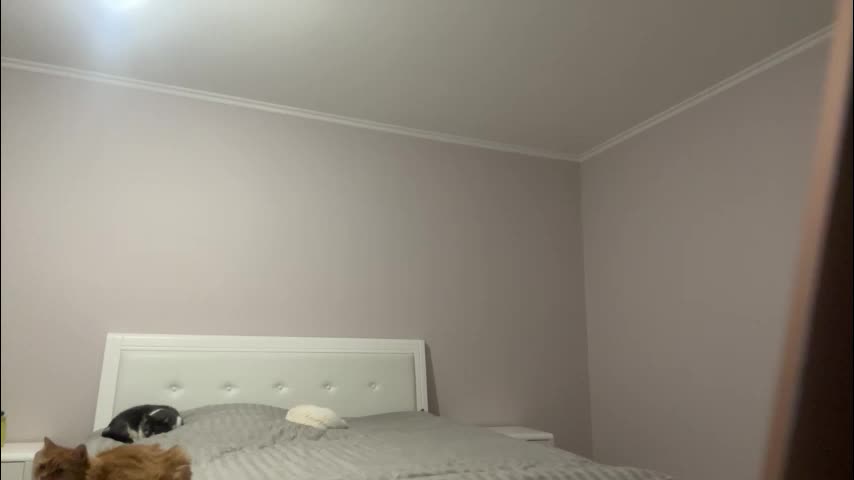 emberfamn Приват Записи 2026-02-04