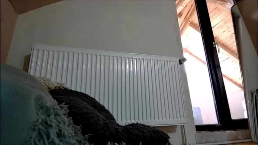 anaworld69 Приват Записи 2026-02-05