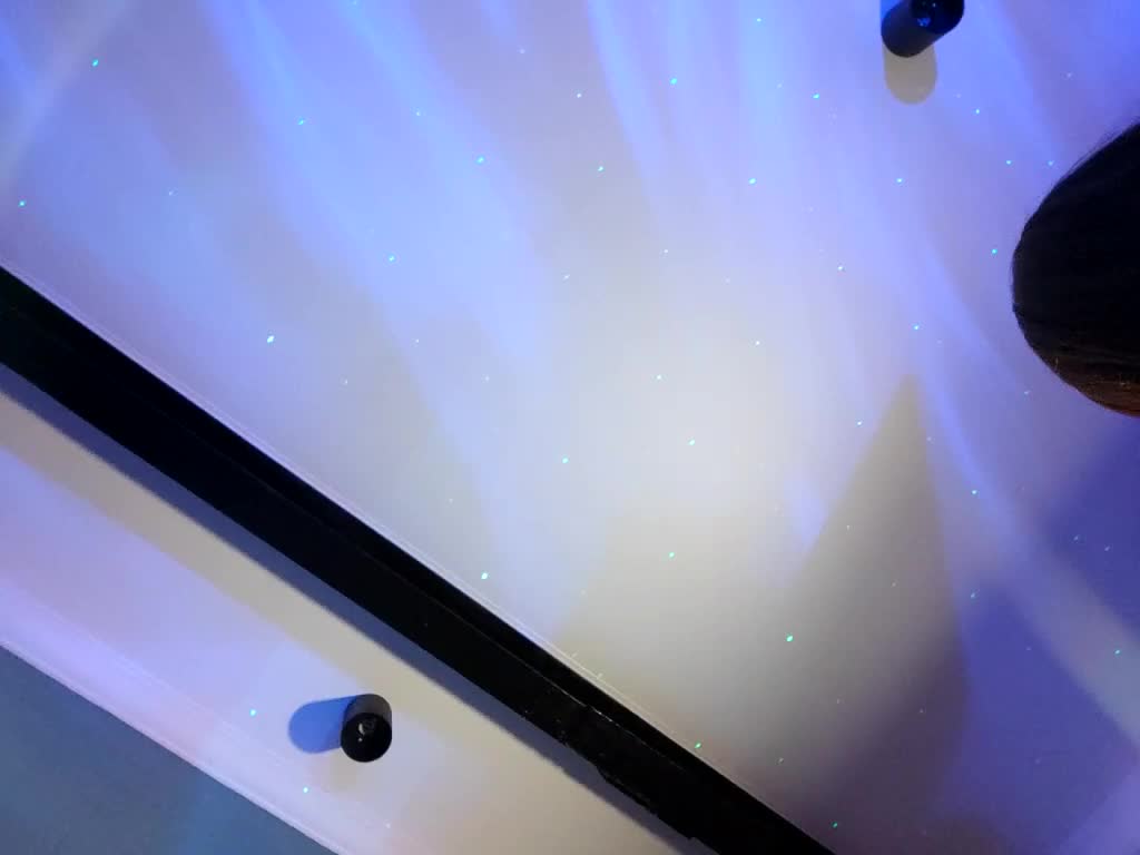 WILD-love-WILD Приват Записи 2026-02-05