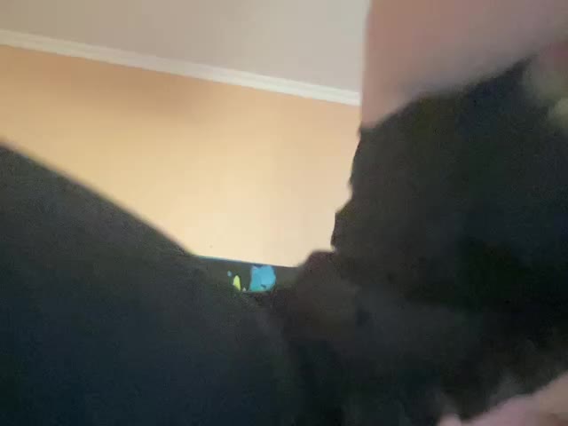 EVIL_TITS Приват Записи 2026-02-05