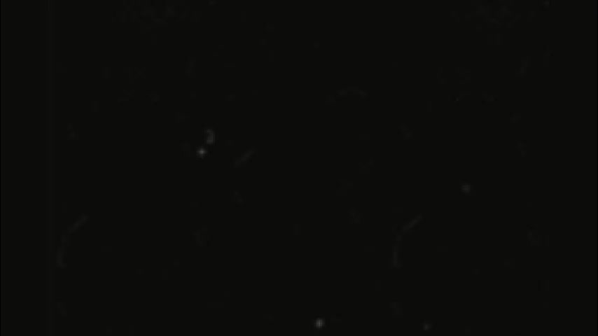 rockstarsgames Приват Записи 2026-02-08