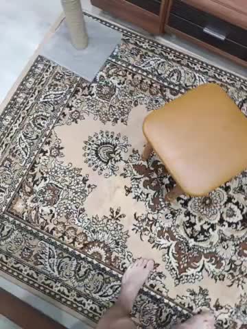 SexyCouple69 Приват Записи 2026-02-08