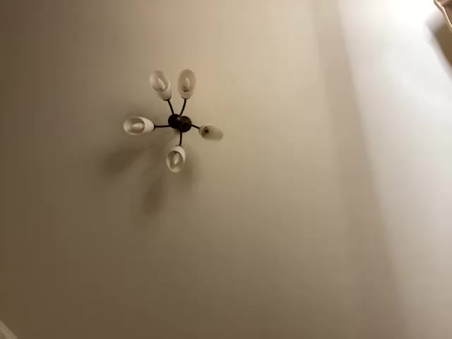 HellMor Приват Записи 2026-02-08