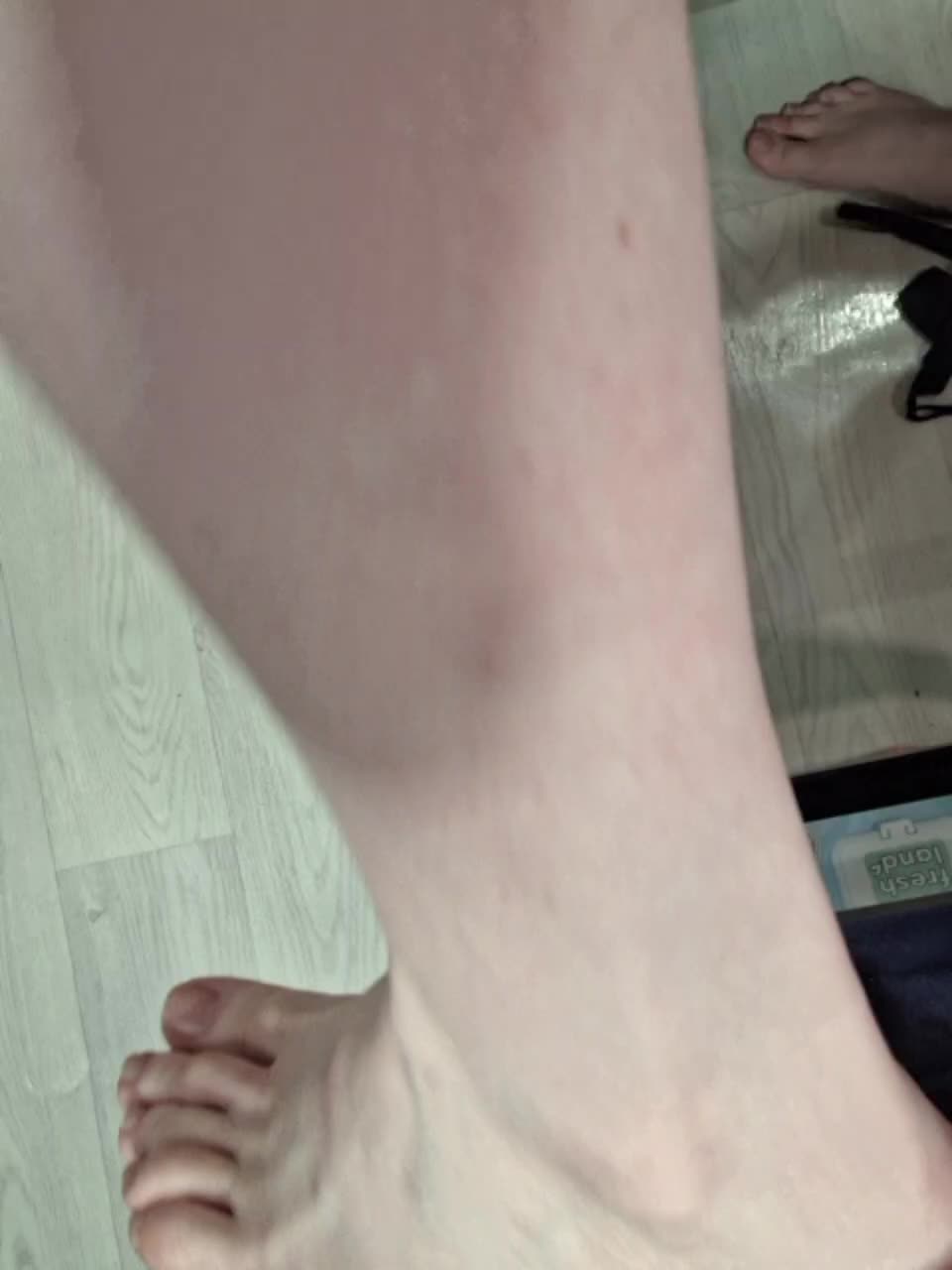 -scyrim- Приват Записи 2026-02-09