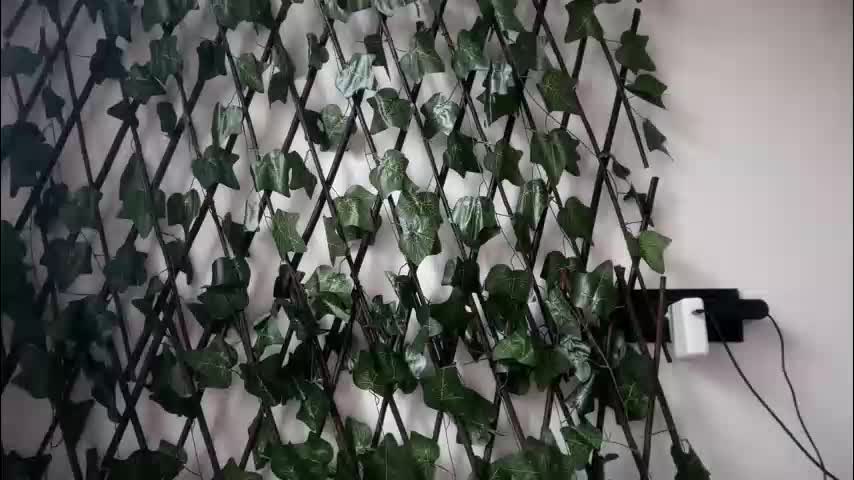 karoline121 Приват Записи 2026-02-09