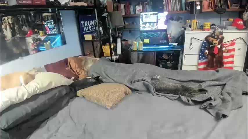 pink_black Приват Записи 2026-02-10