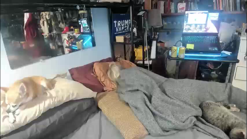 pink_black Приват Записи 2026-02-10