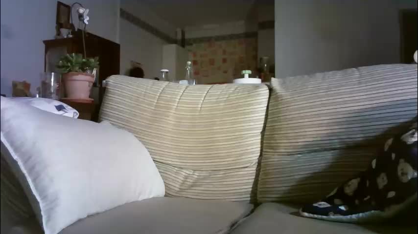 lolahueso Приват Записи 2026-02-10