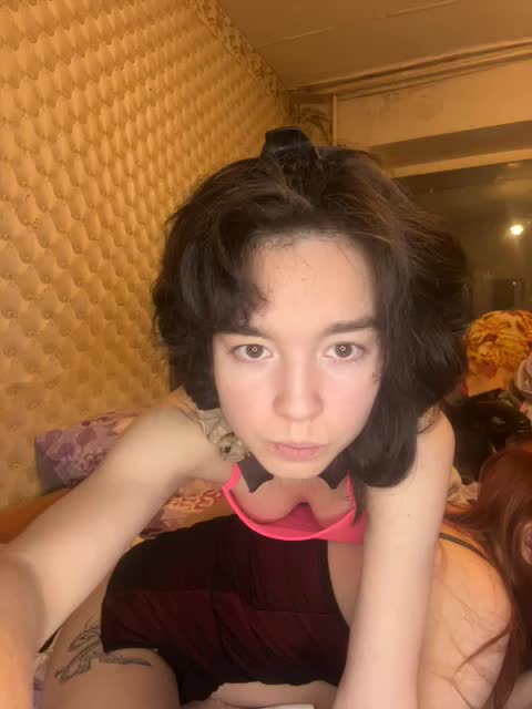 Kiticattt Приват Записи 2026-02-11