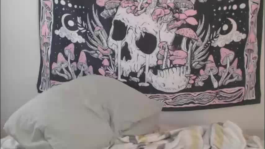 echosol17 Приват Записи 2026-02-11