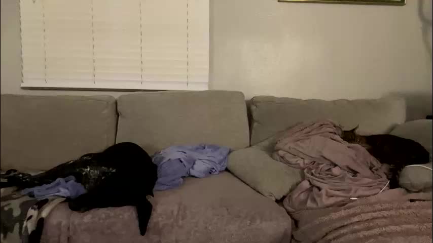 goddessmayvn Приват Записи 2026-02-11