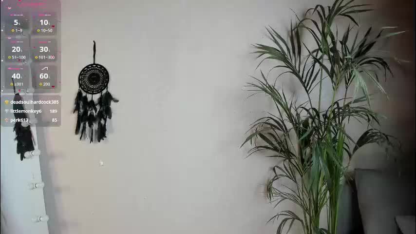 euphoria_life Приват Записи 2026-02-11