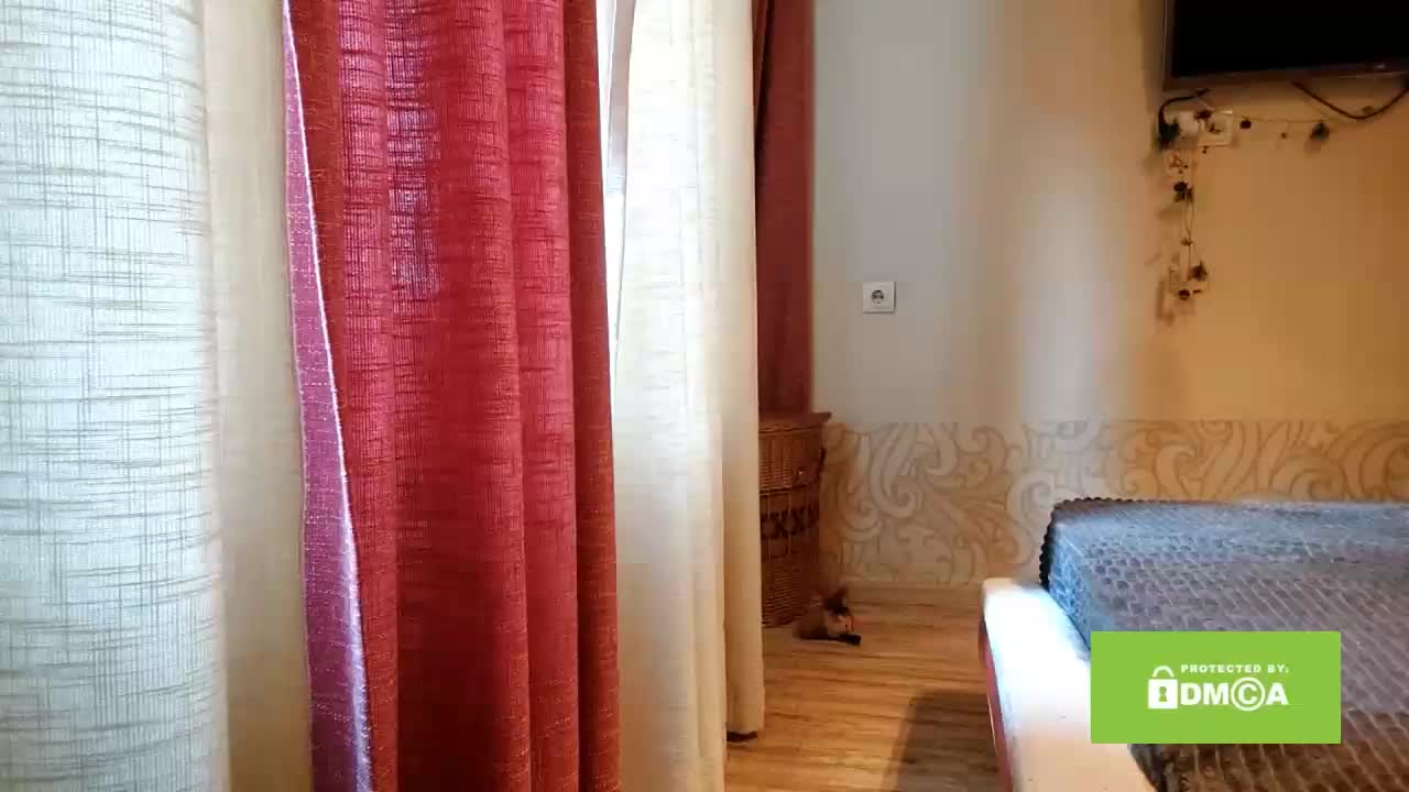 CandyChollett Приват Записи 2026-02-12