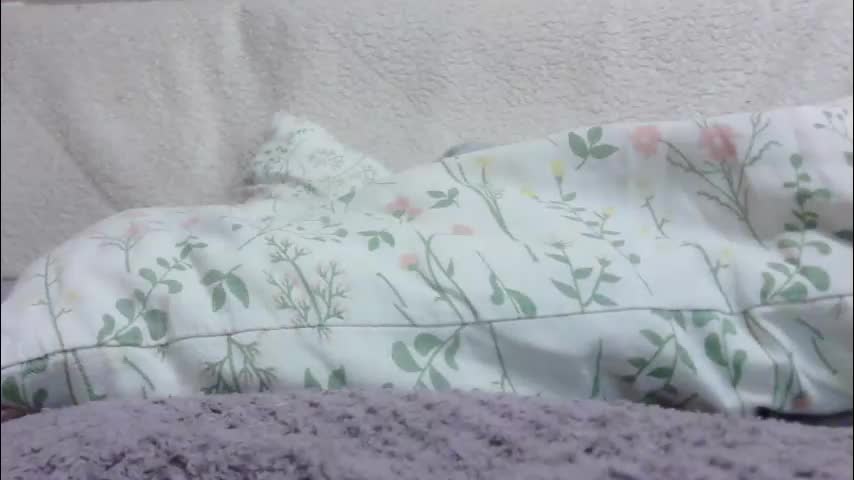 lenorrr Приват Записи 2026-02-12