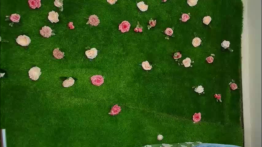 megatitts_ Приват Записи 2026-02-12