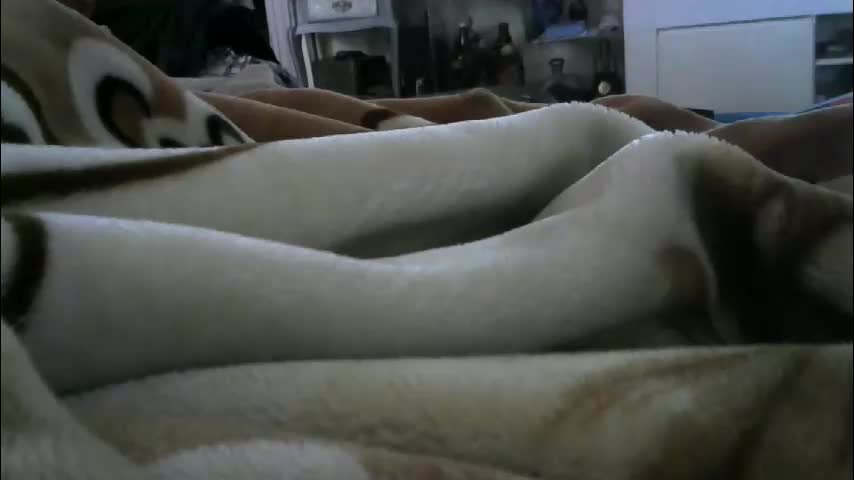 ebonyendebeest Приват Записи 2026-02-12