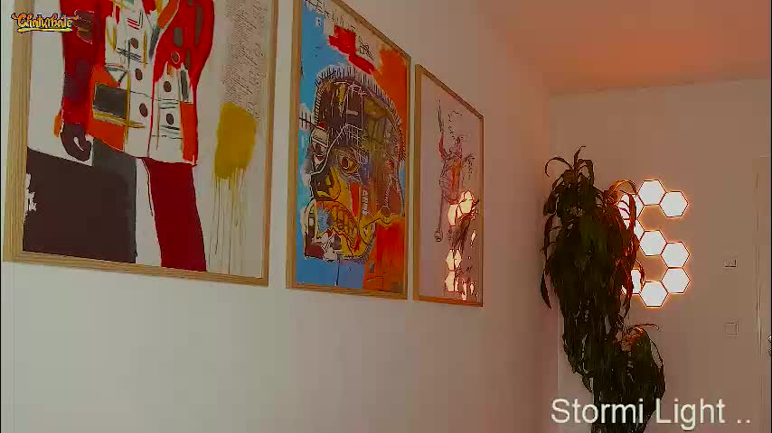 stormi_light Приват Записи 2026-02-13