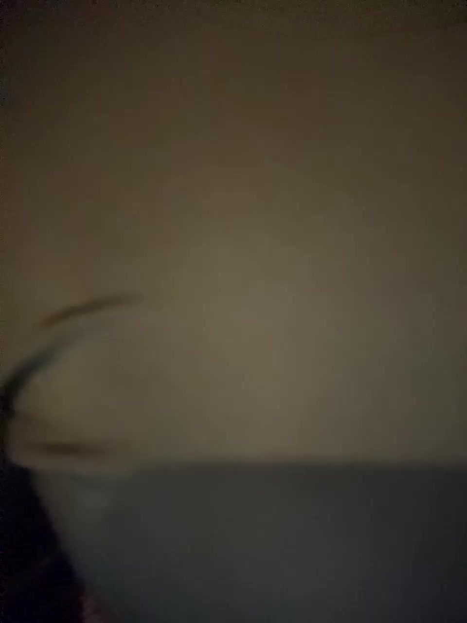 AHAHAC_HAXPEH_B_yHuTa3 Приват Записи 2026-02-14