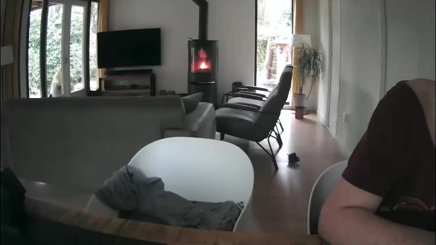 woodwurm Приват Записи 2026-02-14