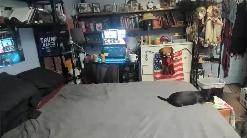 pink_black Приват Записи 2026-02-15