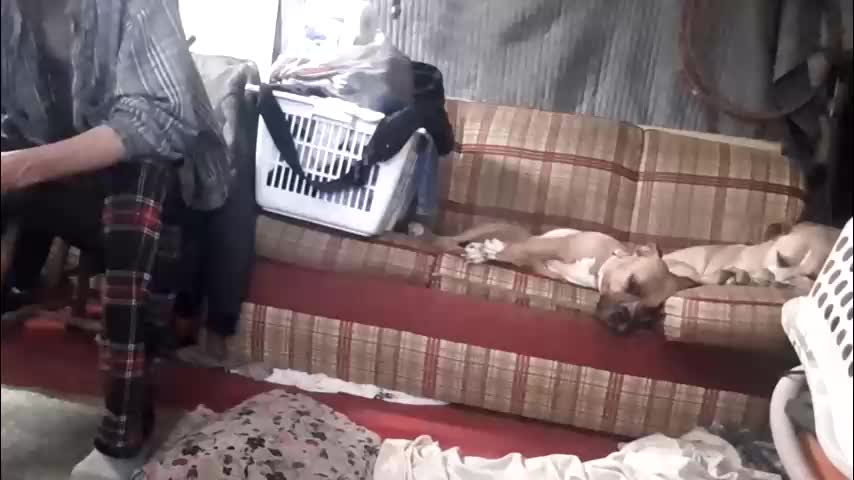 cowboysprincess Приват Записи 2026-02-15