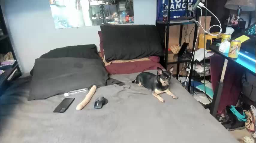 pink_black Приват Записи 2026-02-15