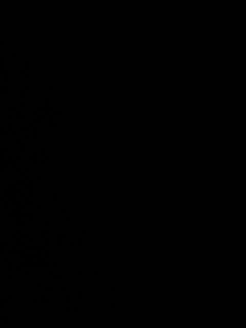 DenXXXTan Приват Записи 2026-02-15