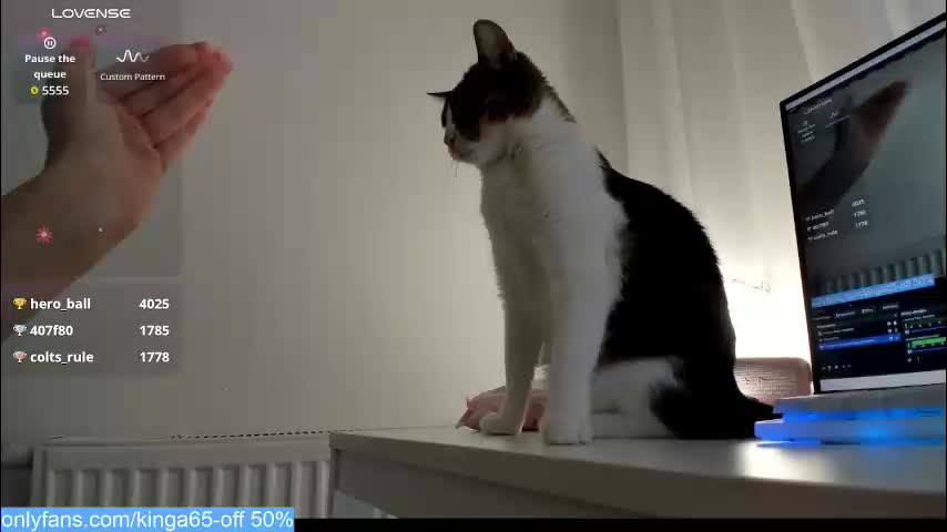 sugar_rainbow Приват Записи 2026-02-15