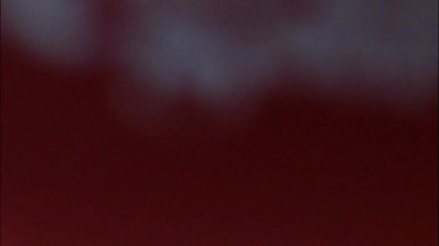 aliens4twenty Приват Записи 2026-02-16