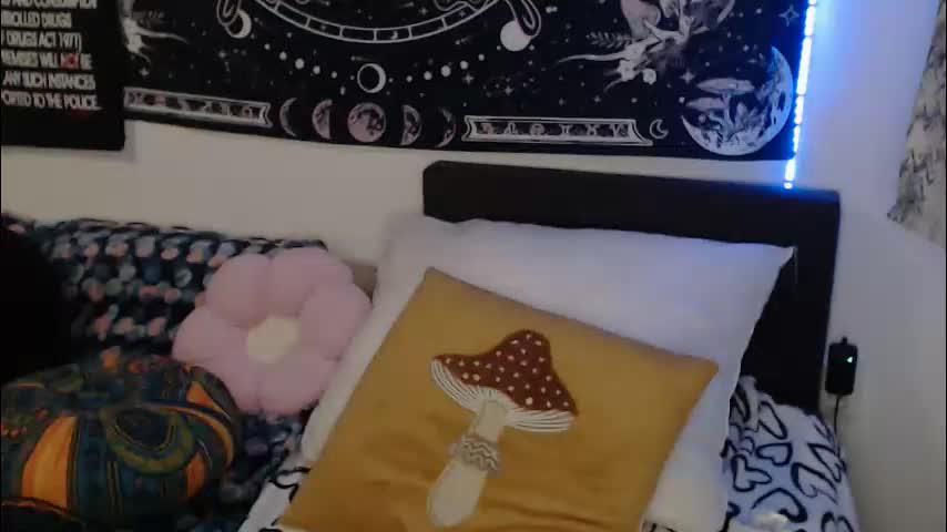 aliens4twenty Приват Записи 2026-02-16