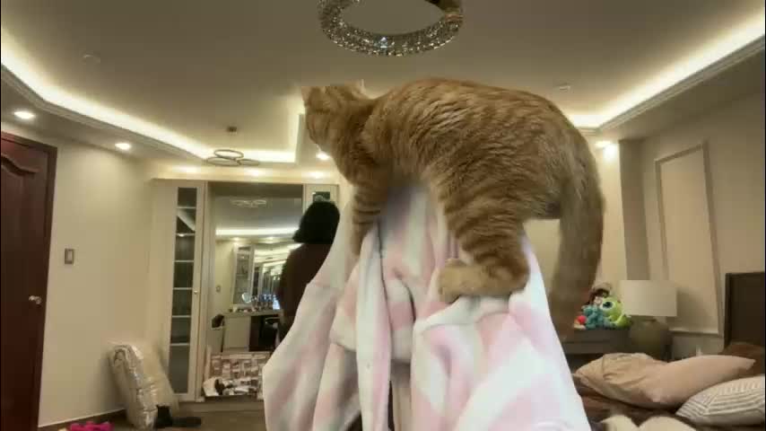 therealcamilabaddie Приват Записи 2026-02-16