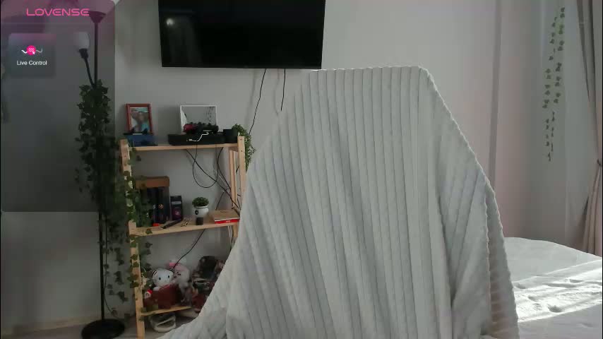 wwow_meow Приват Записи 2026-02-16