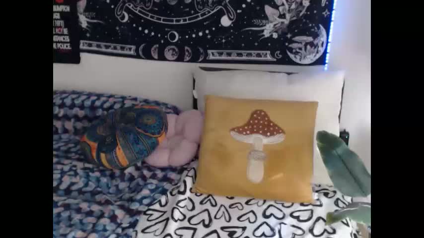 aliens4twenty Приват Записи 2026-02-16